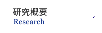 研究概要 Research